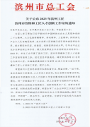 喜報(bào)!公司1個(gè)集體和1名個(gè)人榮獲市級(jí)榮譽(yù)
